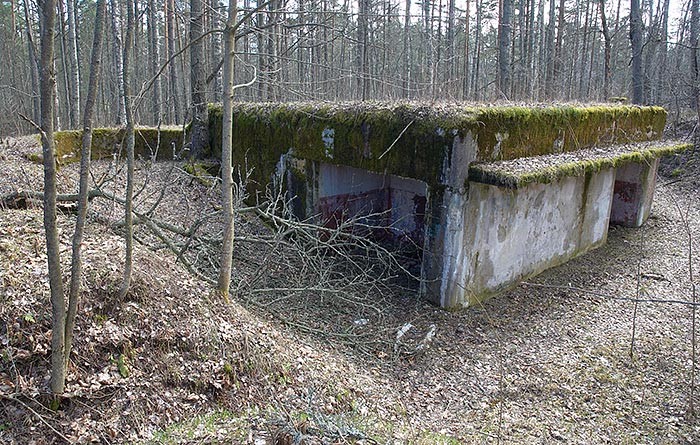 #23 - Общий вид позиции
