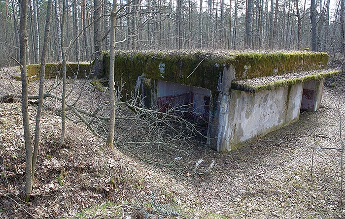 General view of emplacement - Fort Krasnaya Gorka