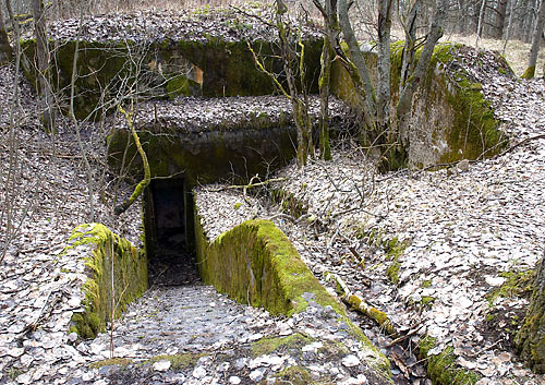 Sight of searchlight bunker in 2008 - Fort Krasnaya Gorka