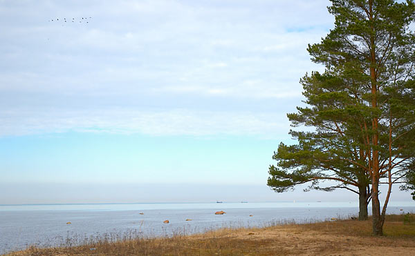 On the Beach - Fort Krasnaya Gorka