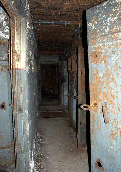 #41 - Внутренности