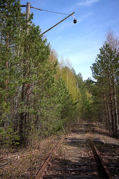 #13 - Forgotten road in the forest...