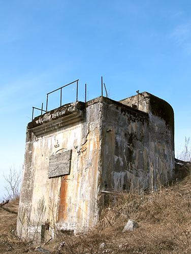 #25 - КП 10-дм батареи