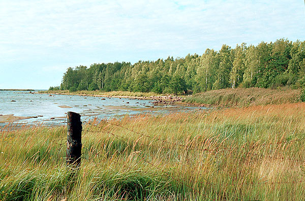 Cape Grey Horse - Fort Krasnaya Gorka