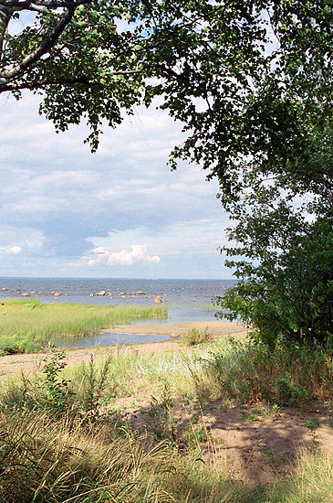 #5 - Морския виды