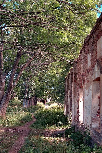 Inside the fortress - Koporye