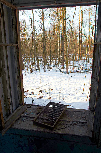#50 - Window sight
