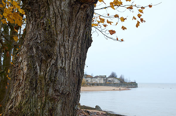 #23 - Fall at Fort Riff