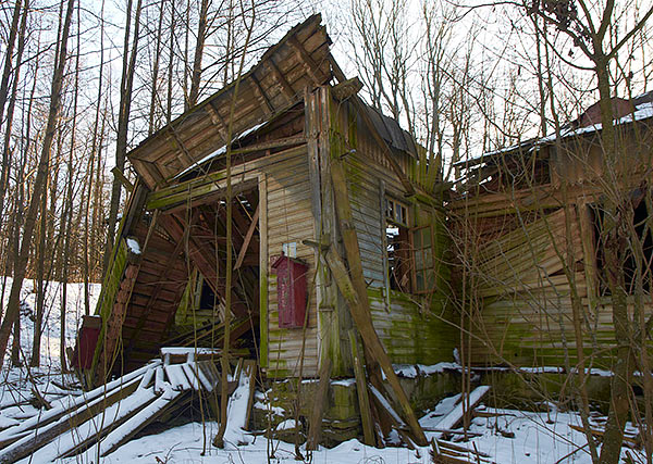 #41 - Wooden house