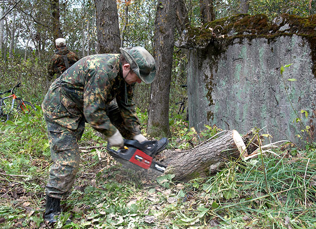 #17 - The fallen tree