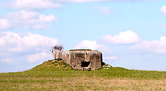 Artillery bunker of Krasnogvardeisk fortified area