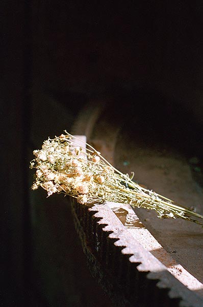 #41 - Still life