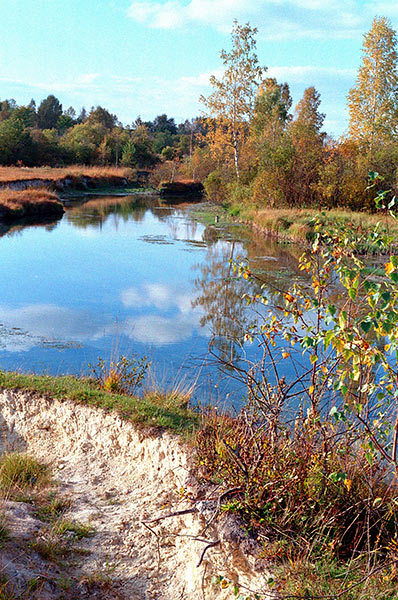 #33 - Izhora river