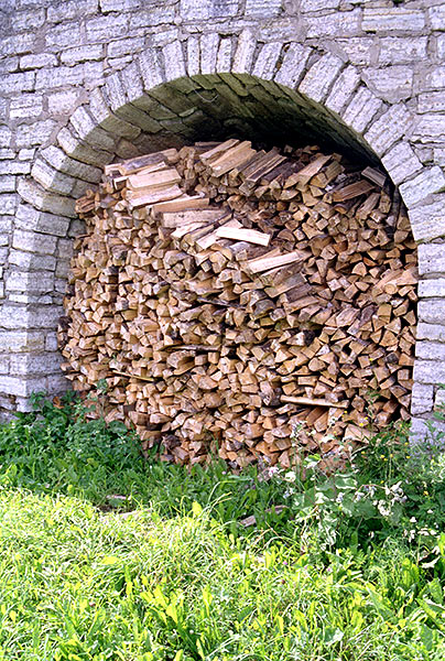 Fire wood for winter - Staraya Ladoga