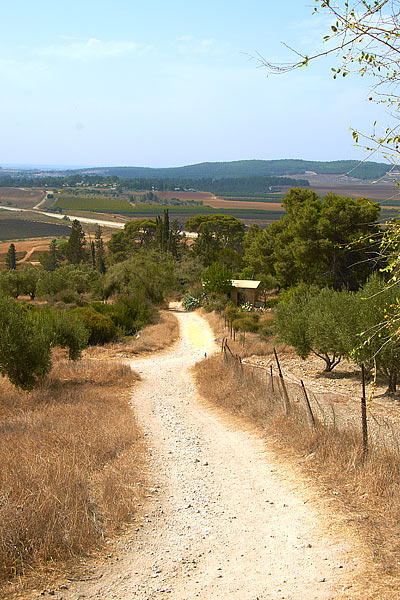 #2 - Road to the fortress