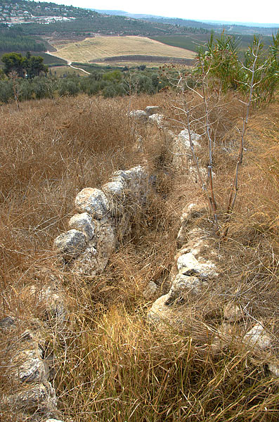 Field fortifications - Fort Latrun