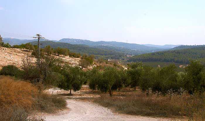 "The Road of Life" - Fort Latrun