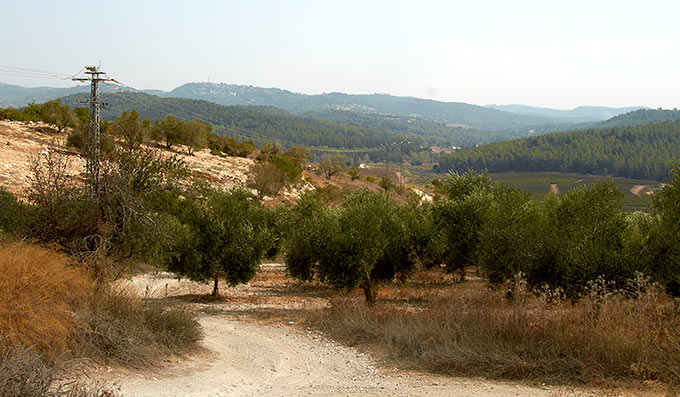 Fort Latrun vicinity