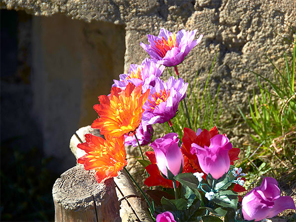 V-day still-life - Fortress Leningrad