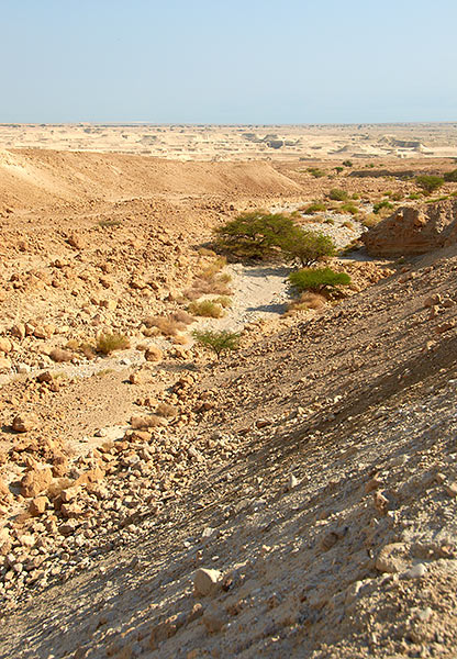 #5 - Coulee or wadi Masada