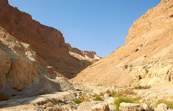 #4 - Masada nahal
