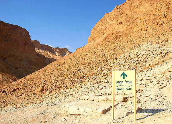 #6 - Snake path beginning