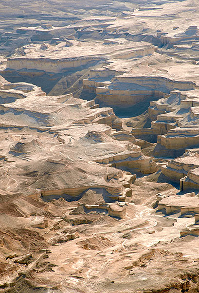 #13 - Judean Desert
