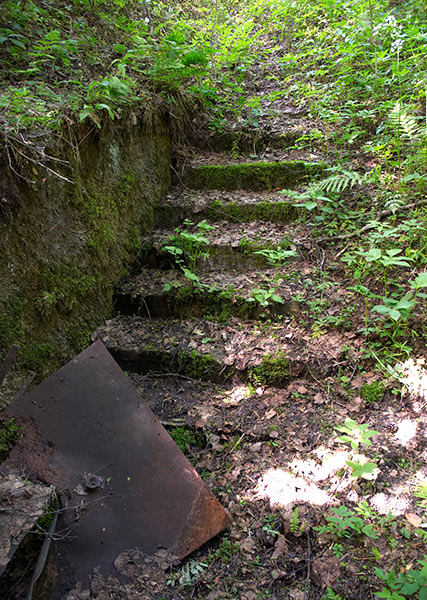 Staircase in the forest - Mannerheim Line
