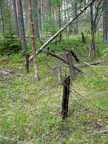 Anti-personnel barriers - Mannerheim Line