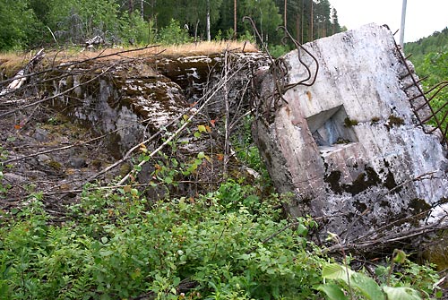 Ruins - Mannerheim Line