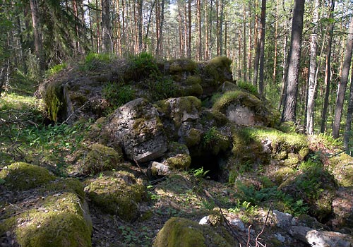 #2 - Сектор Muola