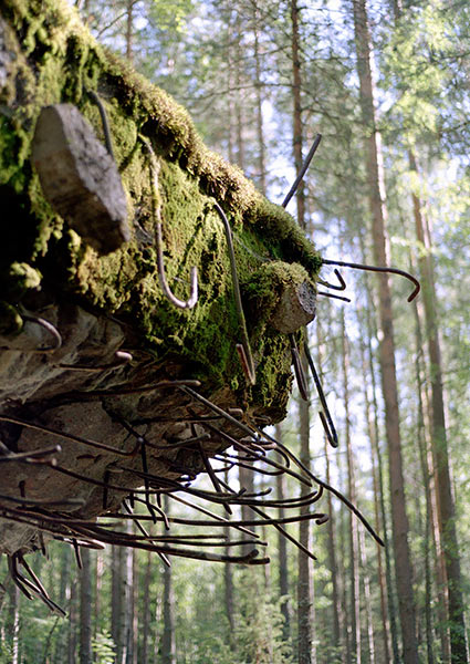 Roof od the bunker - Mannerheim Line