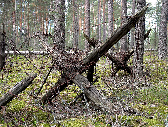 Infantry obstacles - Mannerheim Line