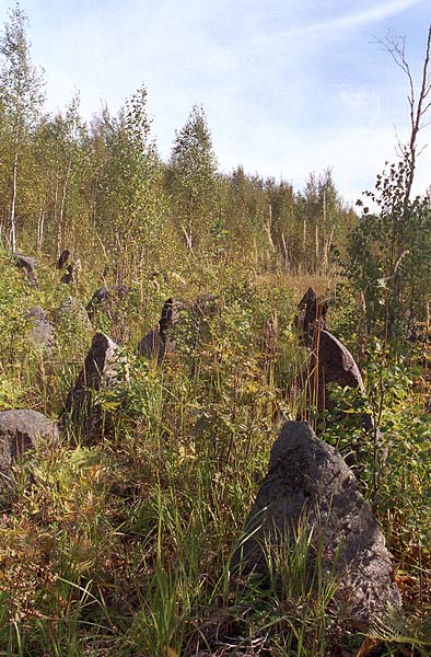 The "Teeth of a Dragon" in Valley of Death - Mannerheim Line