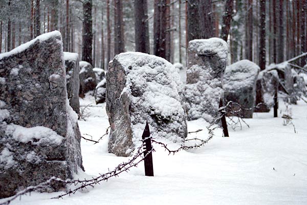 Cowberry in the Valley of Death - Mannerheim Line