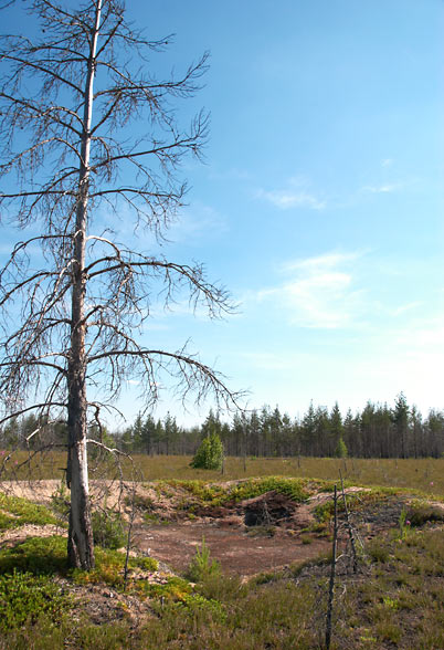 Artillery emplacement - Mannerheim Line