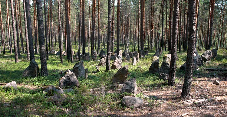 Southern end of the height of the "Jazyk" - Mannerheim Line