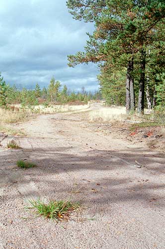 Peaceful Karelian landscape - Mannerheim Line