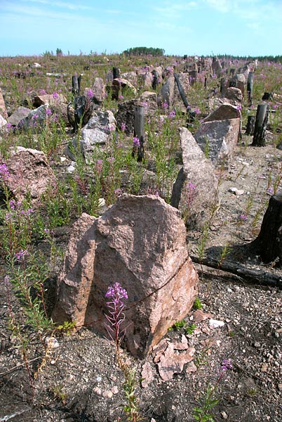 "Dragon's teeth" - Mannerheim Line