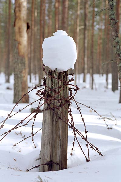 Winter landscape of 1939 - Mannerheim Line