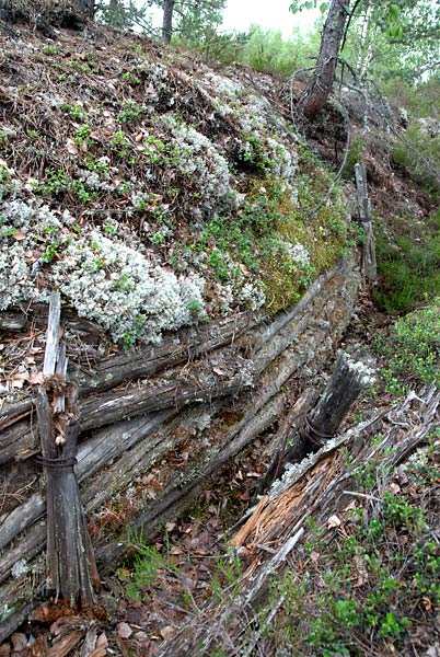 Field fortifications - Mannerheim Line