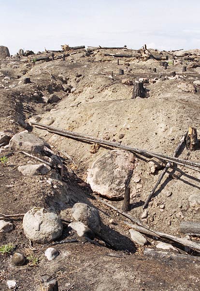 Scorched Earth - Landscape 1940 - Mannerheim Line