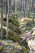 Trenches of Mannerheim Line