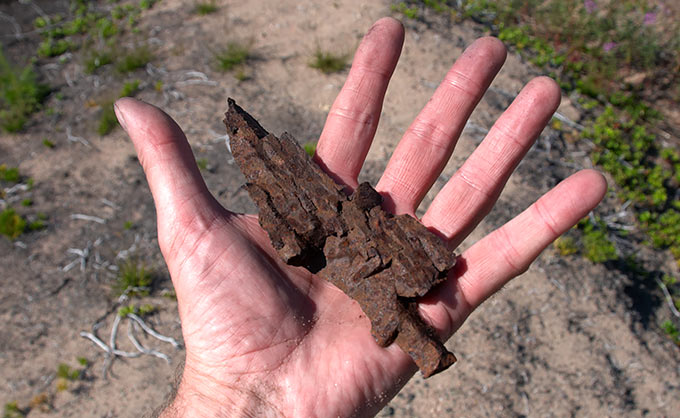 Old shell fragment from M-Line