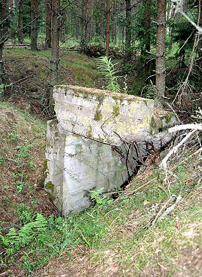 Руины в лесу - Линия Маннергейма