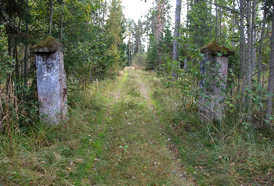 Way to Ureseva cape - Mannerheim Line