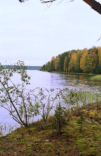 Suvantojärvi - Mannerheim Line