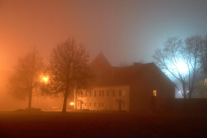 Misty Narva - Narva