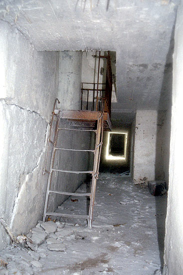 #33 - Галерея