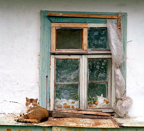 #58 - Windows of the Okolny town